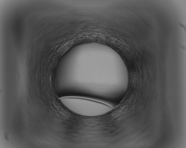 X0000097611489200802290743