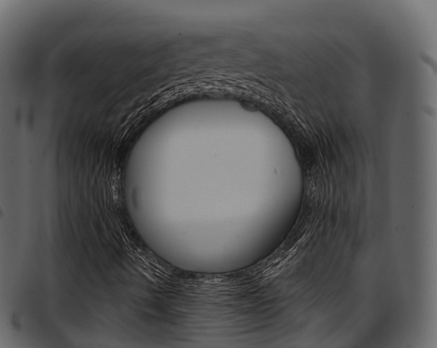 X0000097611490200802290743