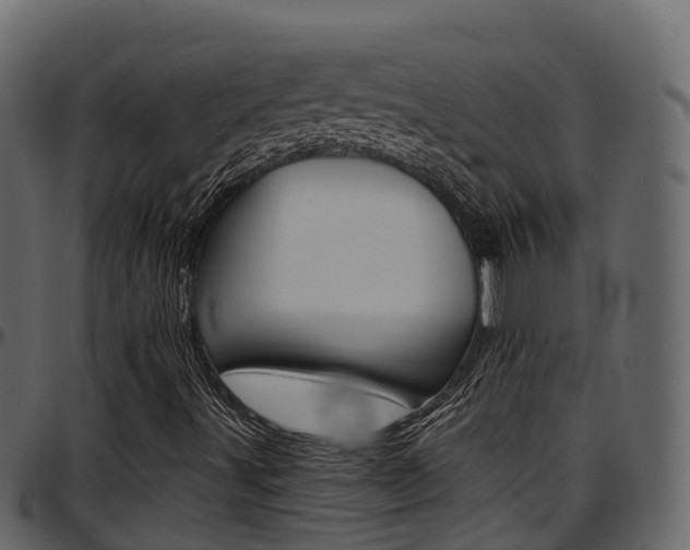 X0000097611491200802290743
