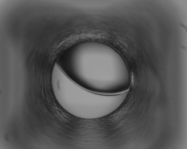 X0000097611492200802290743