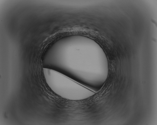 X0000097611493200802290743