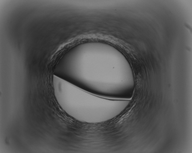X0000097611494200802290743
