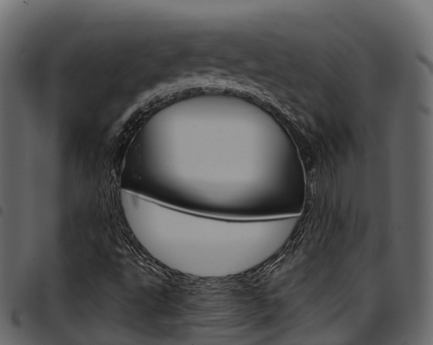 X0000097611495200802290743