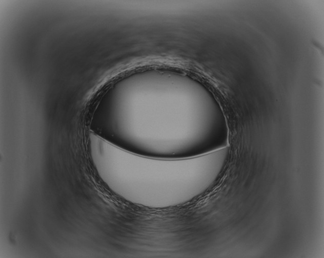 X0000097611496200802290743