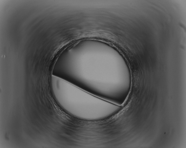 X0000097611497200802290743
