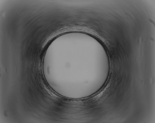 X0000097611498200802290743