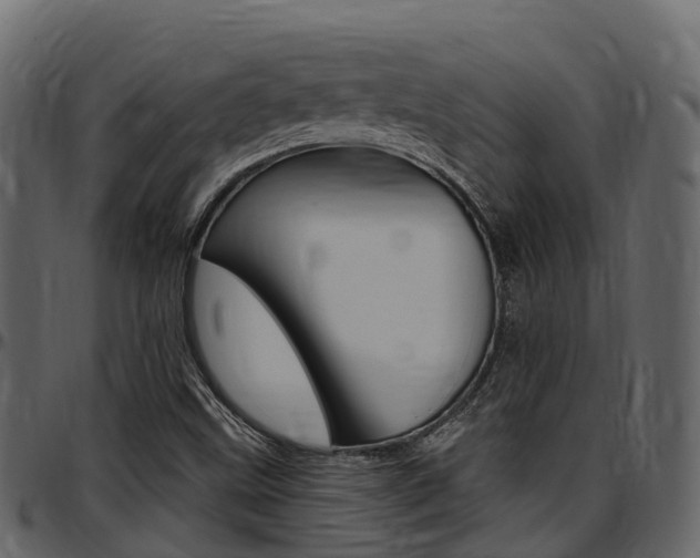 X0000097611499200802290743