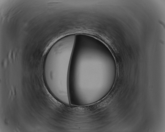 X0000097611500200802290743