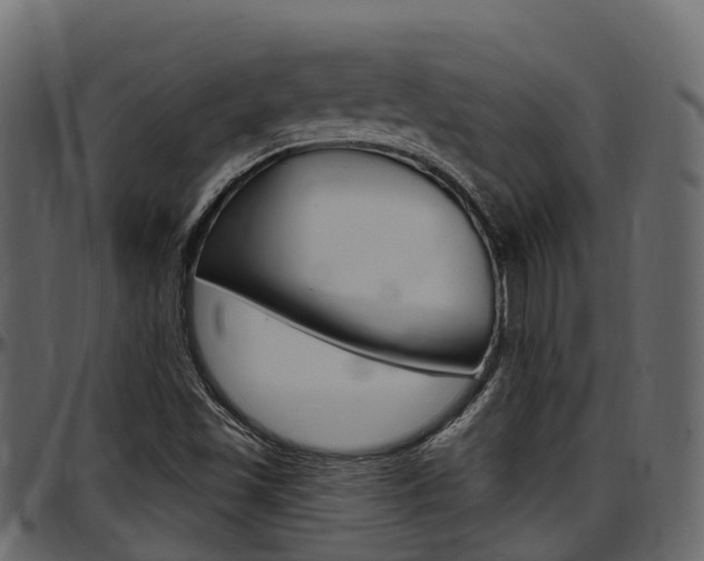 X0000097611501200802290743