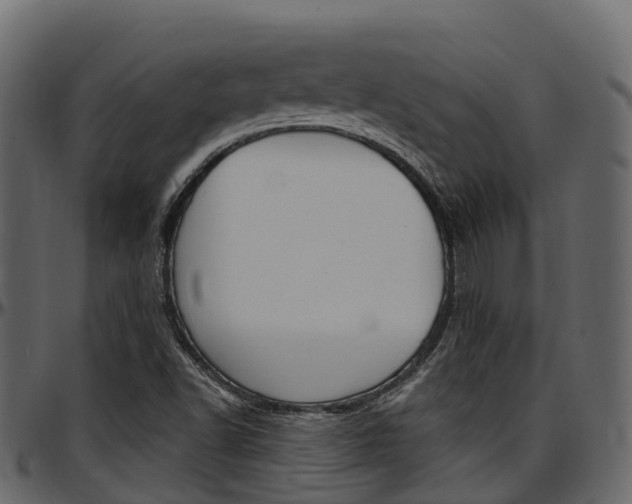 X0000097611502200802290743