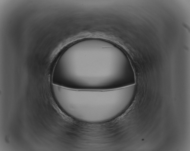 X0000097611503200802290743
