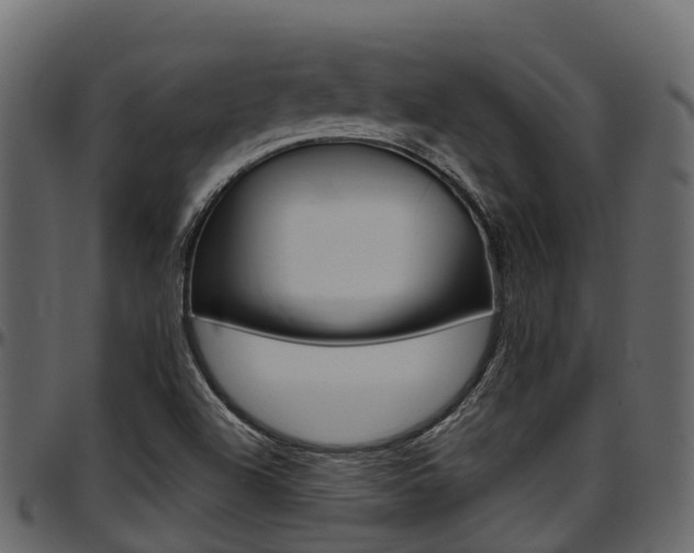 X0000097611504200802290743