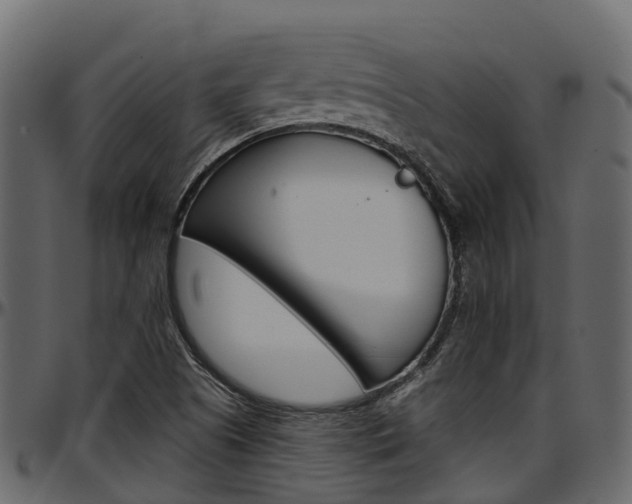 X0000097611505200802290743