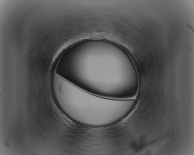 X0000097611506200802290743