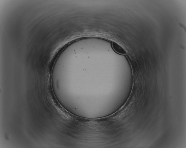 X0000097611507200802290743