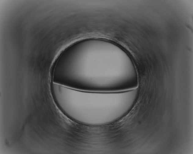 X0000097611508200802290743