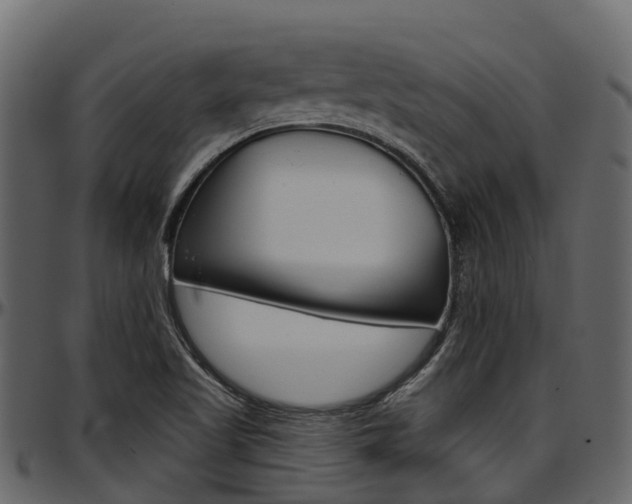 X0000097611509200802290743