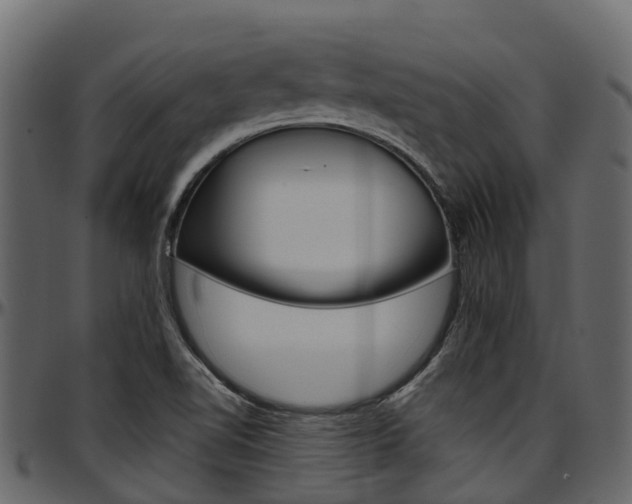 X0000097611510200802290743