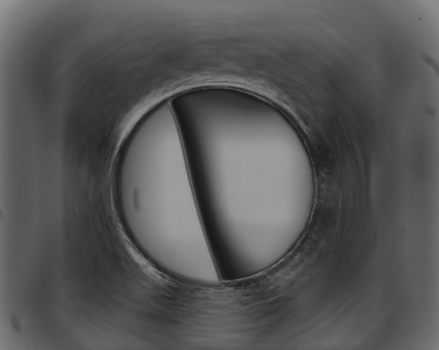 X0000097611511200802290743