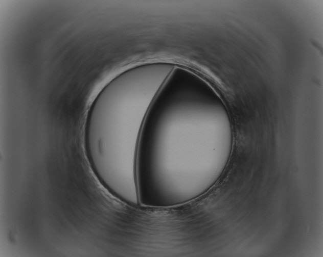 X0000097611512200802290743