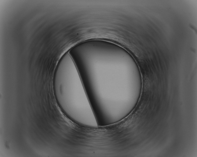 X0000097611513200802290743