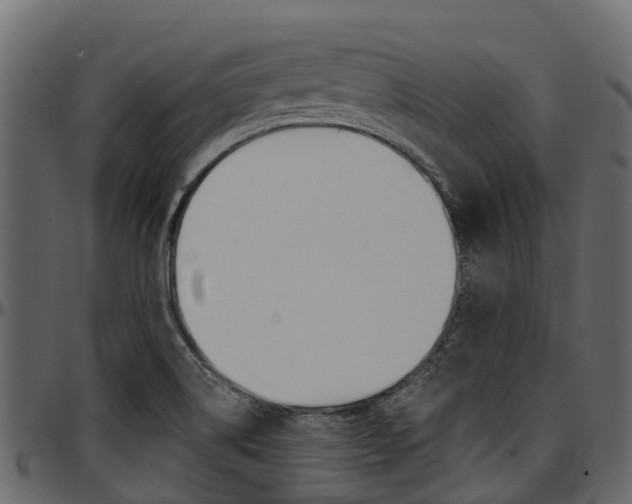 X0000097611514200802290743