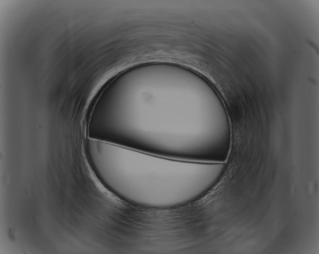 X0000097611515200802290743