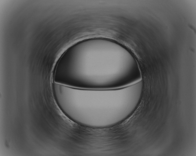 X0000097611516200802290743