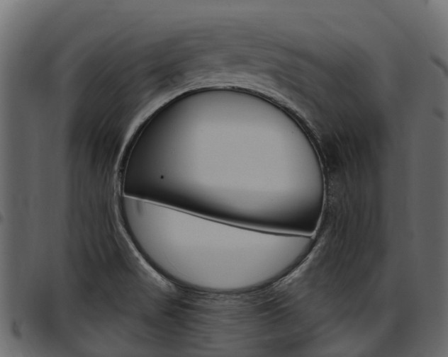 X0000097611517200802290743