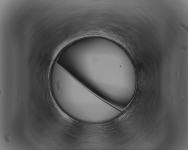 X0000097611519200802290743