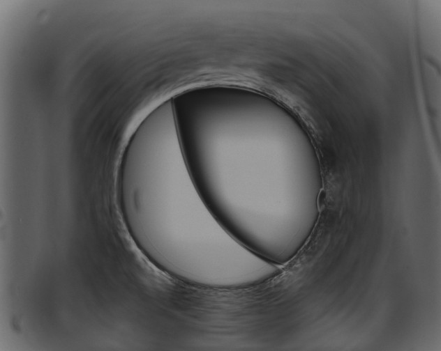 X0000097611520200802290744