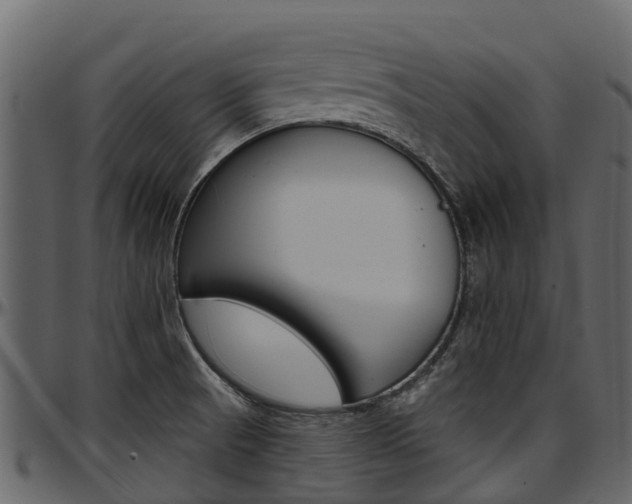 X0000097611521200802290744