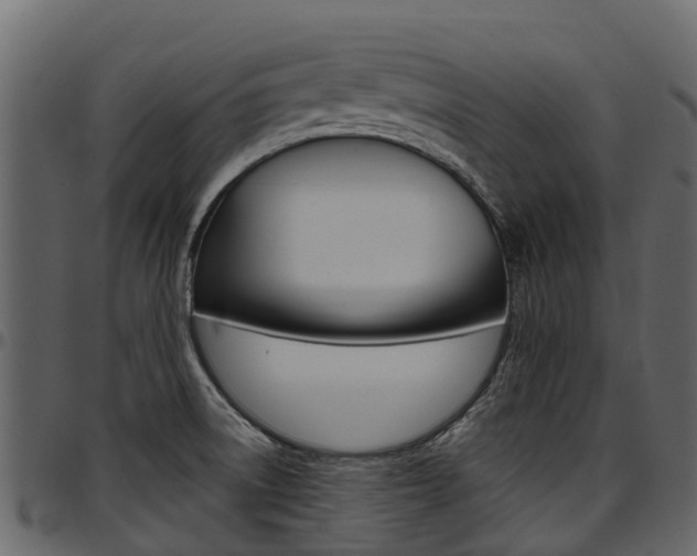 X0000097611522200802290744