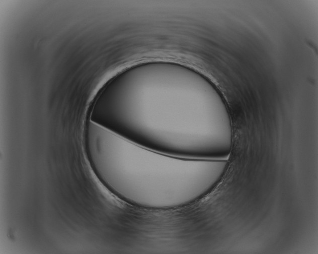 X0000097611523200802290744