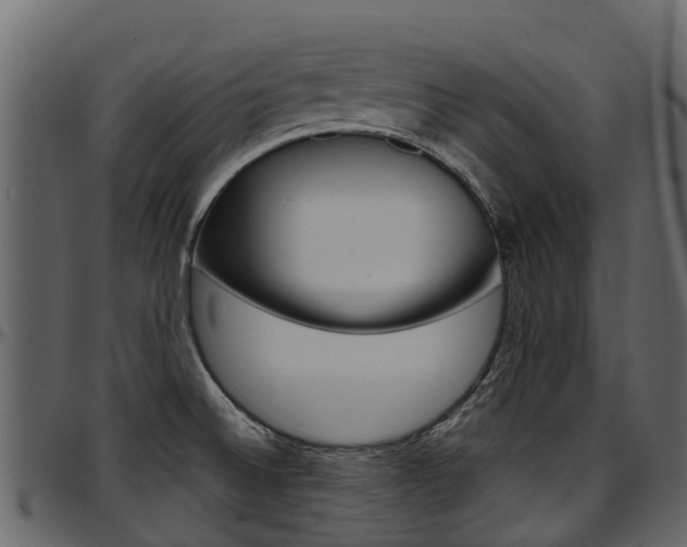 X0000097611524200802290744