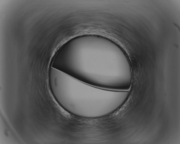 X0000097611525200802290744