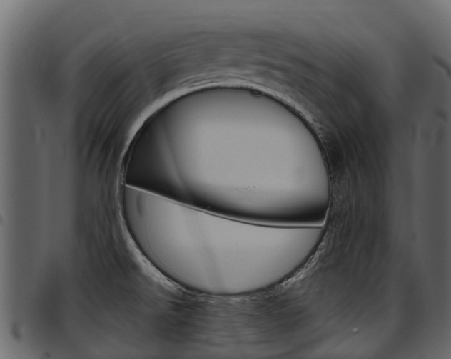 X0000097611526200802290744