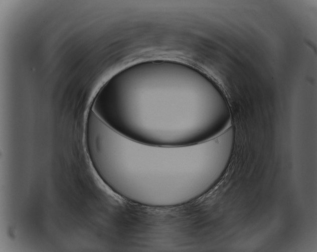 X0000097611528200802290744