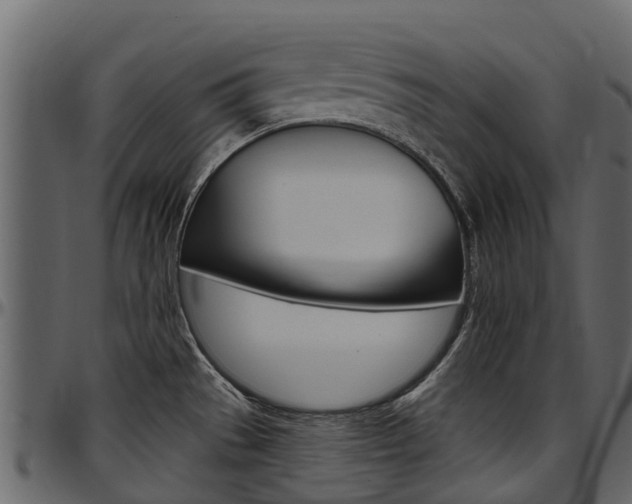 X0000097611529200802290744