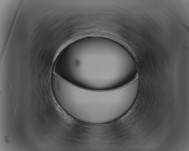 X0000097611530200802290744