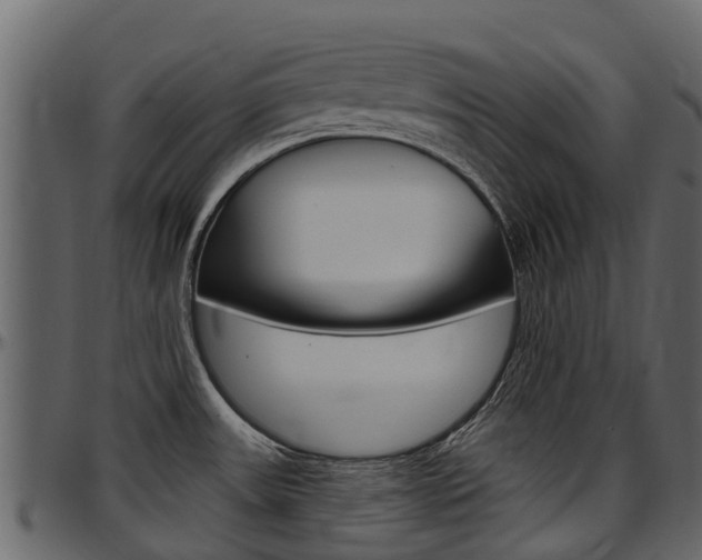 X0000097611531200802290744