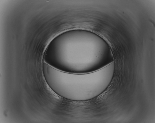 X0000097611532200802290744