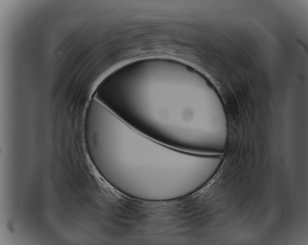 X0000097611534200802290744