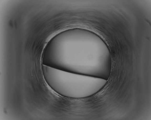 X0000097611535200802290744