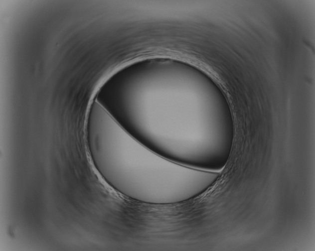X0000097611536200802290744