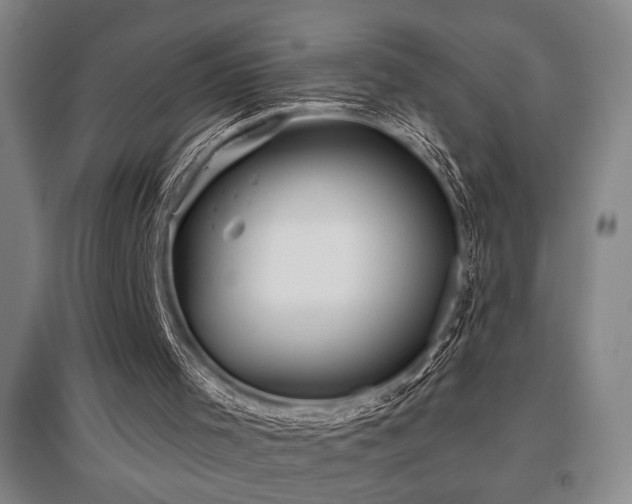 X0000097610001200802291313