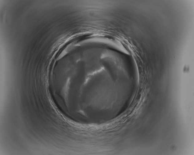 X0000097610002200802291313