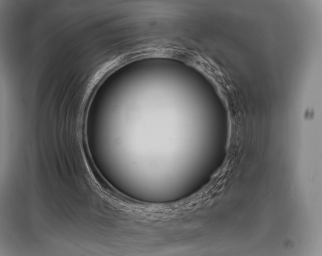X0000097610003200802291313