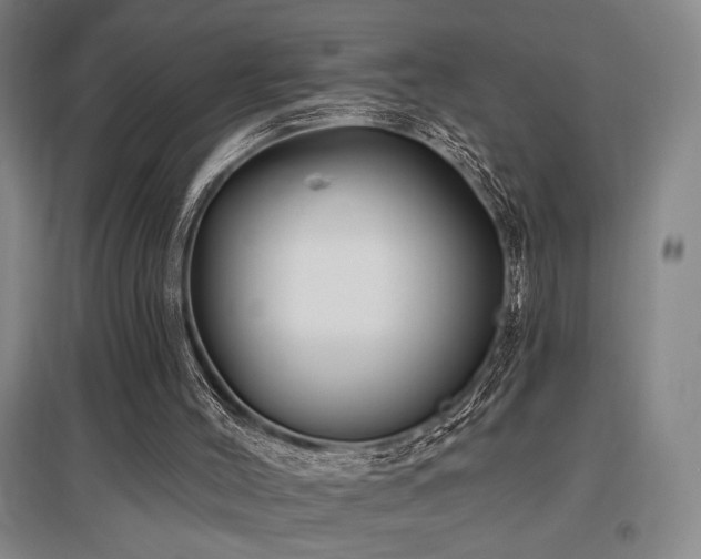 X0000097610004200802291313