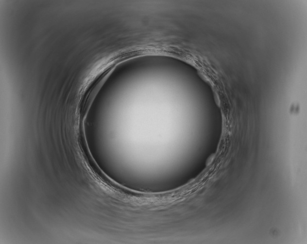 X0000097610005200802291313